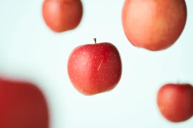 展示作品イメージ　1