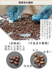焙煎豆選別