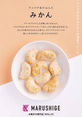 チョコが染み込んだみかん説明