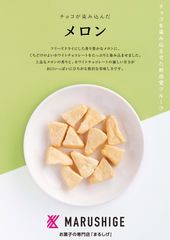 チョコが染み込んだメロン説明