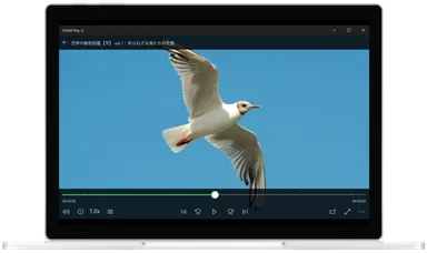 録画番組およびライブチューナーの再生