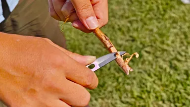 ナイフ 野菜を切ったり小枝でフェザースティックを作る