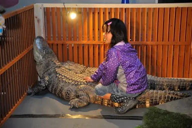 ふれあいワニ園