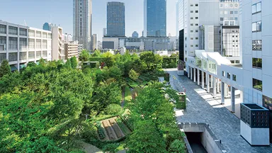 積水ハウスの「5本の樹」計画におけるまちづくりの取り組み