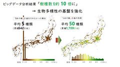 定量評価分析結果(1)