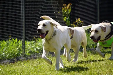 会社イメージ写真(1)