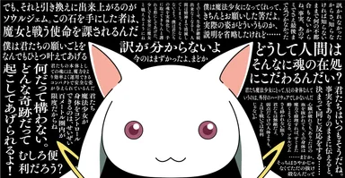 魔法少女まどか☆マギカ10(展)_2