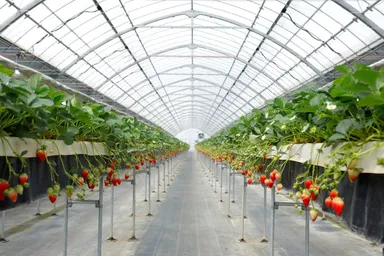 当園は広さも関西最大級！