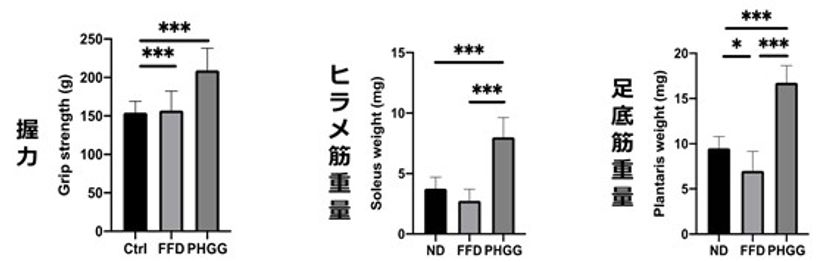 グアーガム分解物、糖尿病モデルマウスの
サルコペニア肥満を抑制することが明らかに　
第19回日本機能性食品医用学会総会で発表