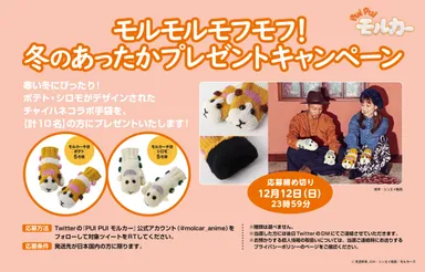 プレゼントキャンペーン告知画像