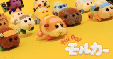 『PUI PUI モルカー』