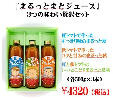 500gまるっとまと3本セット