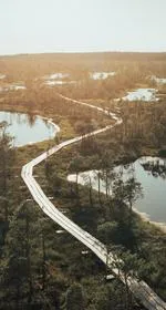 エストニアピート画像1