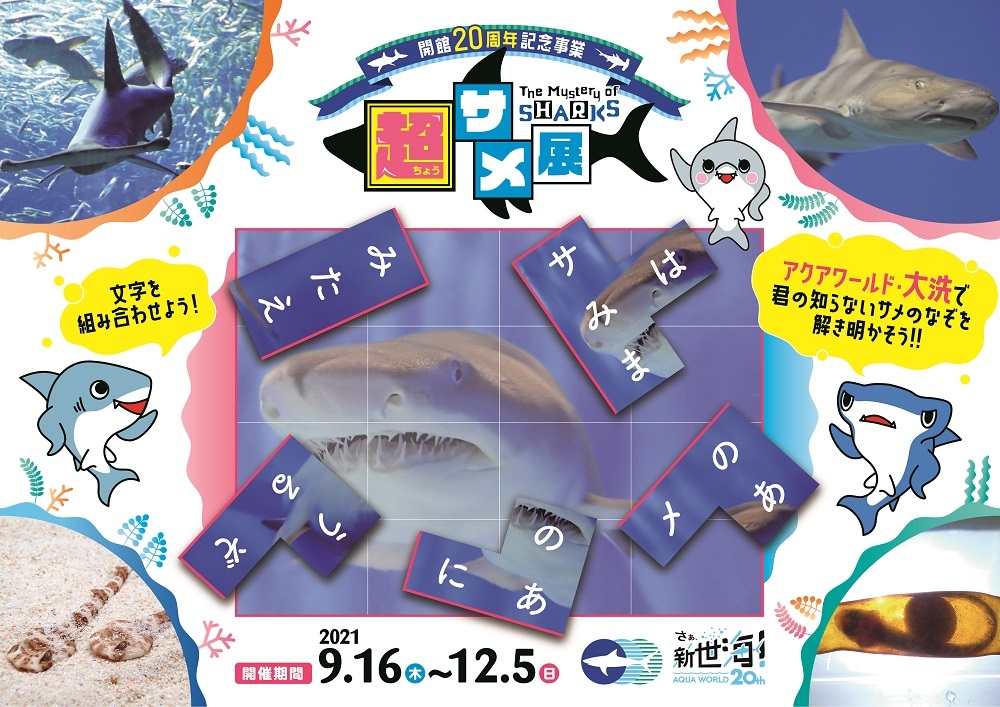 超サメ展 フィナーレを飾るスペシャルナイトイベントの開催決定 アクアワールド茨城県大洗水族館のプレスリリース