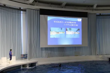 オーシャンシアター「サメトーク」