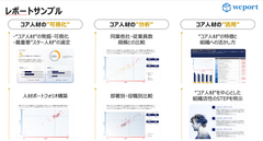 Report sample