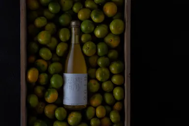 みかんの果実酒「シセラ」