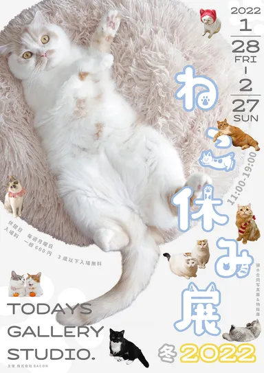 キービジュアル(縦)