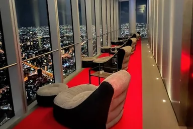 【「快適ソファでおせちプラン」観賞ソファ】