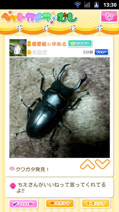 ペットカメラ むし