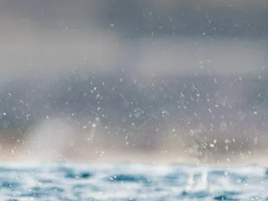 タスマニア産、世界最高峰のきれいな水