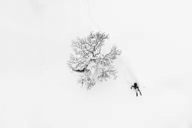 2020-21 スキー部門 1位作品