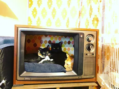 レトロテレビのベッド