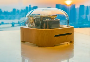 色はダークとライト。写真はライト。