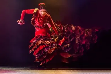 フラメンコダンサー