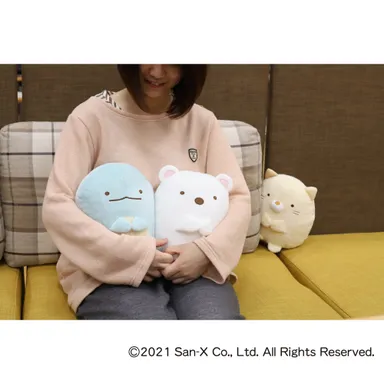 あったかぬいぐるみシリーズ 使用イメージ(2)