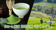 畑から選定。抹茶品種「おくみどり」の一番茶使用