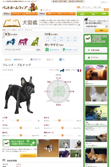犬図鑑