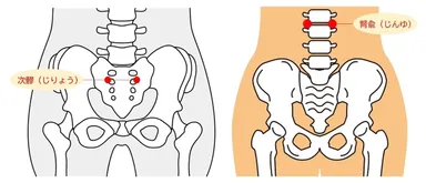 次りょう(じりょう)と腎兪(じんゆ)
