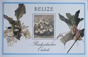 19世紀末のラン図譜「Reichenbachia」の図に基づいて中米ベリーズで発行された切手シート(1987年)