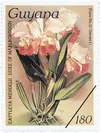 ラン絵画切手「Reichenbachia orchids」からの1枚(ガイアナ、1986年)