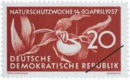 はじめてランが描かれた自然保護切手(東ドイツ、1957年)