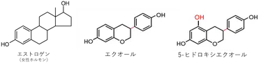 エクオールおよび5-ヒドロキシエクオールについて