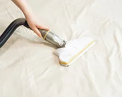 ふとんクリーナーとして