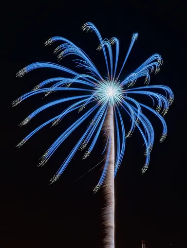 全国各地の厳選された特選玉