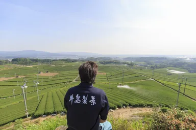 八女中央大茶園の展望台からの風景