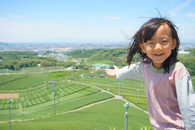 八女中央大茶園の風景と子供