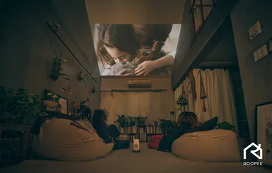 三角屋根投影イメージ