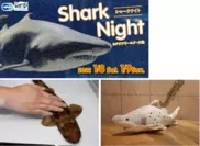 Shark Night inアクアワールド・大洗