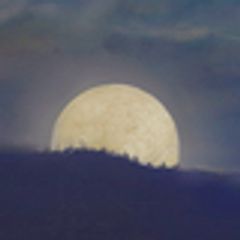 天籟能の会のロゴ