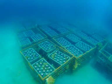 海底熟成設置イメージ