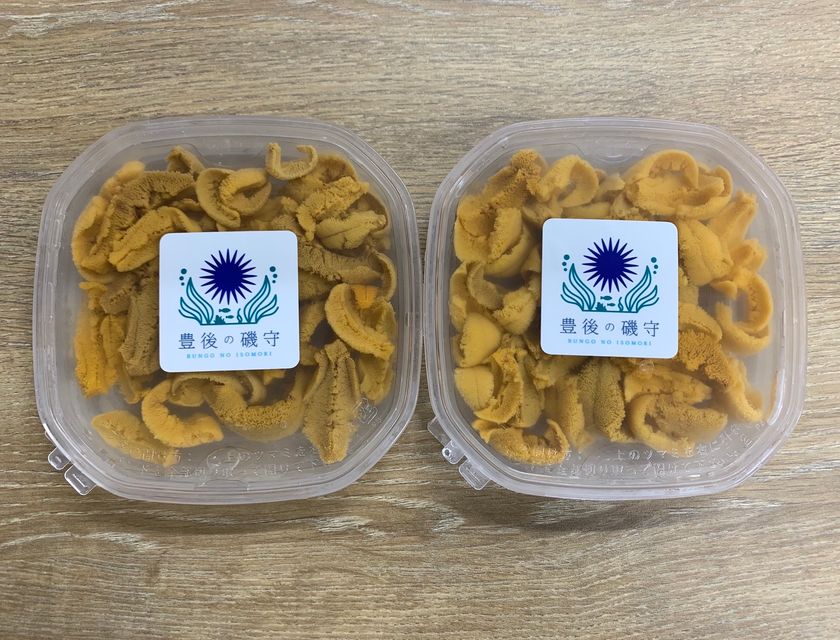 食べることで環境保全！？大分発の陸上畜養ウニ
「豊後の磯守(R)」に無添加塩水パックが登場