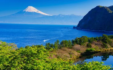 静岡うまちょく便とは