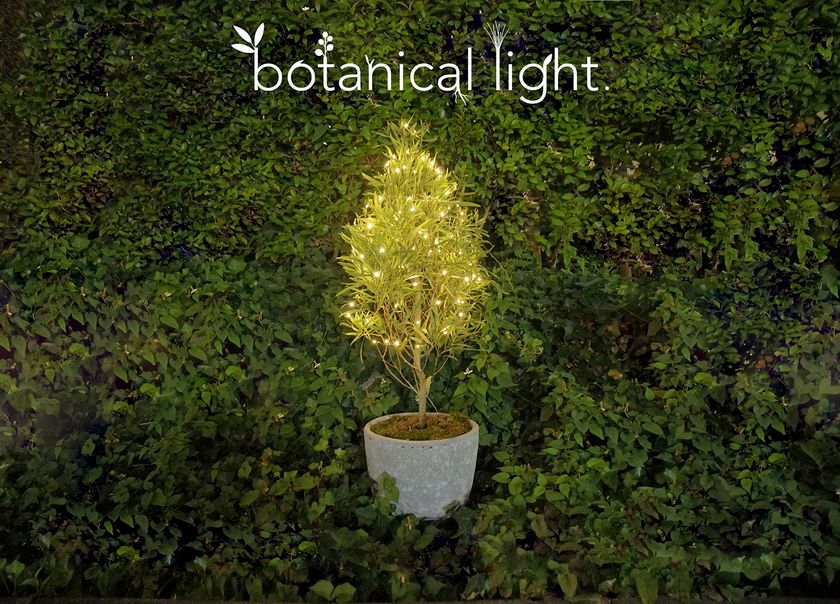 植物の力で発電！環境配慮型のエネルギー『botanical light』を
都内の商業施設に設置し2022年2月まで実証実験を実施- Net24ニュース