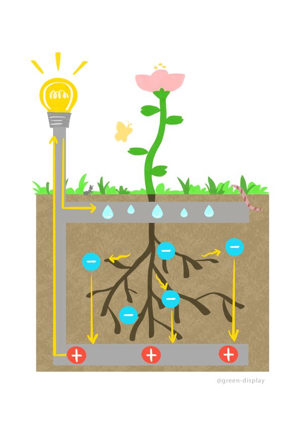 植物の力で発電！環境配慮型のエネルギー『botanical light』を都内の商業施設に設置し2022年2月まで実証実験を実施