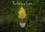 botanical light(ボタニカルライト)